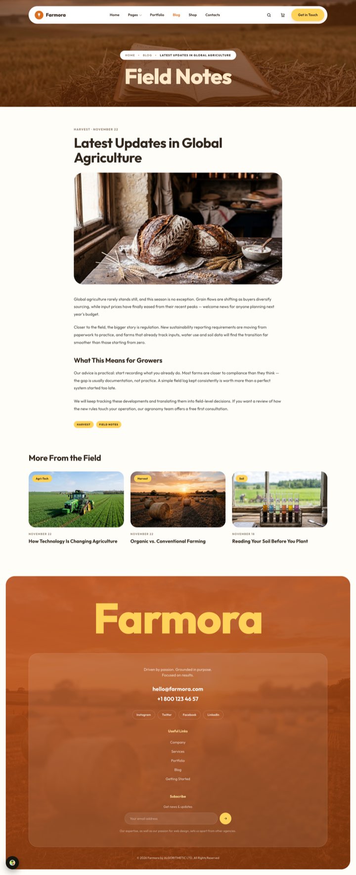 Sunhaven — Blog Single page
