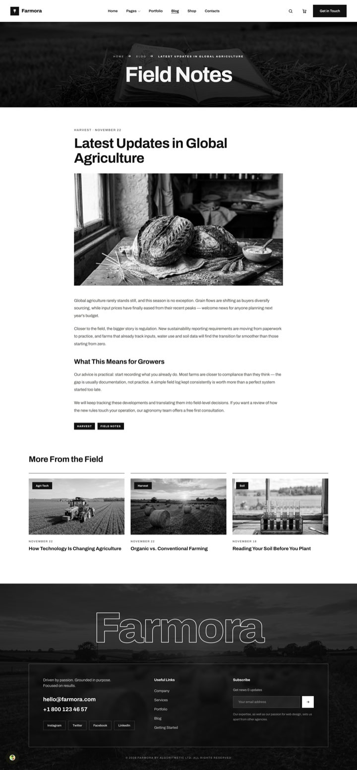 Monoline — Blog Single page