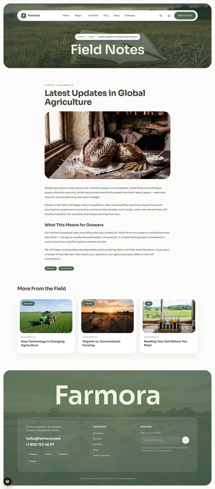 Meadow — Blog Single page